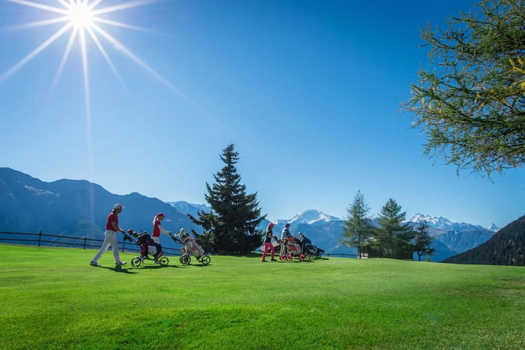 Alpenresort B22