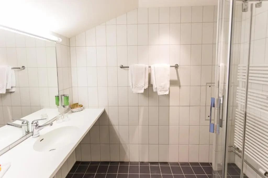 Sorell Hotel Arabelle Bern