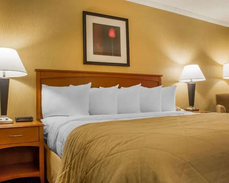 Quality Inn & Suites Riverfront