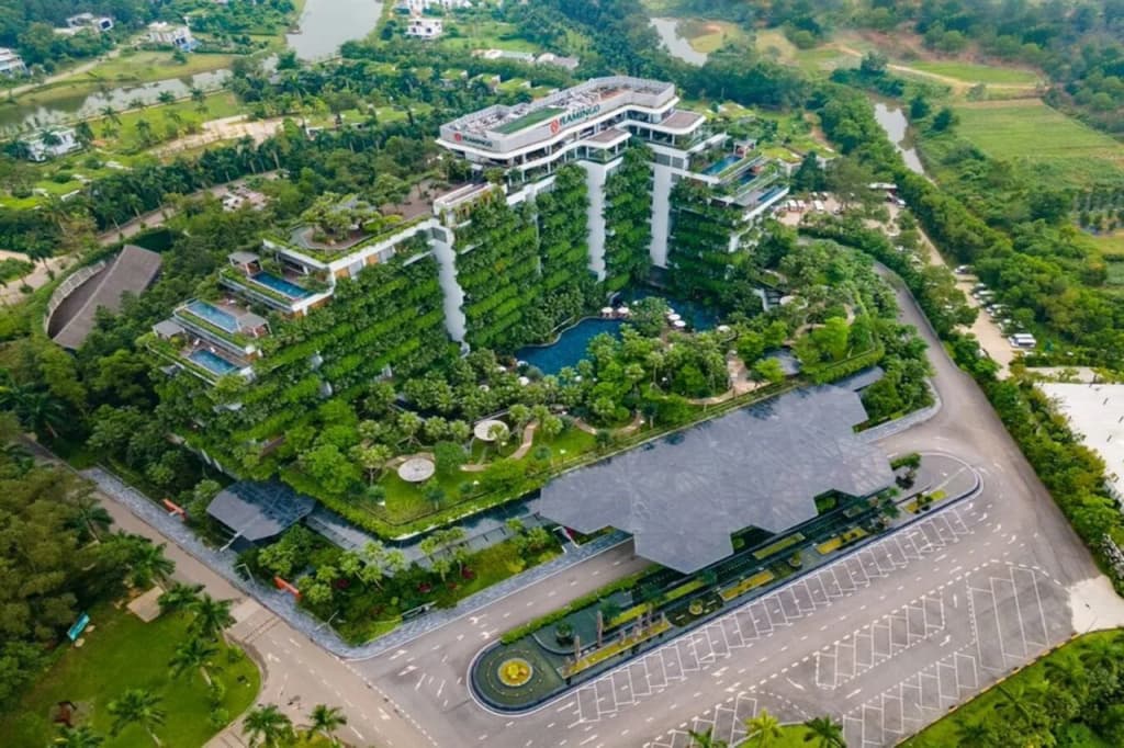 Forest In The Sky - Flamingo Dai Lai