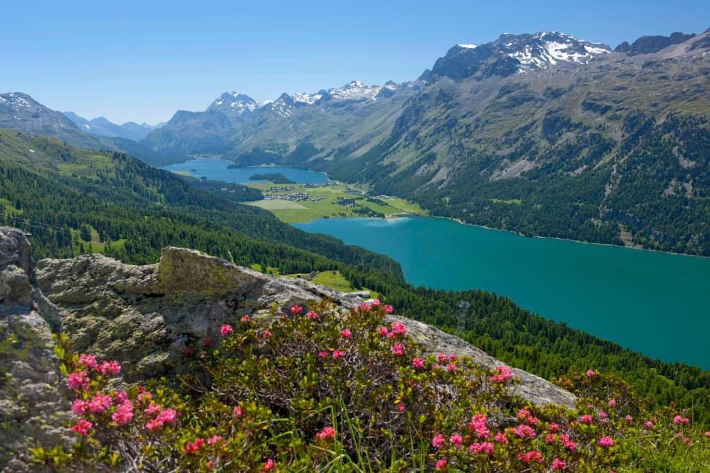 Crystal Hotel